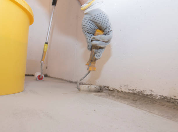 Emergency Pest Control Services in Tucumcari, NM